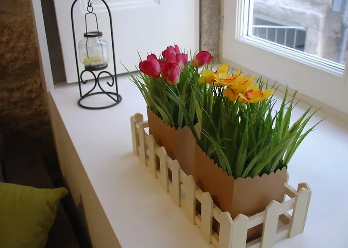 Downtown Historical Porto