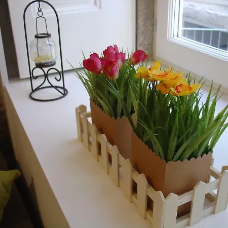 Downtown Historical Porto