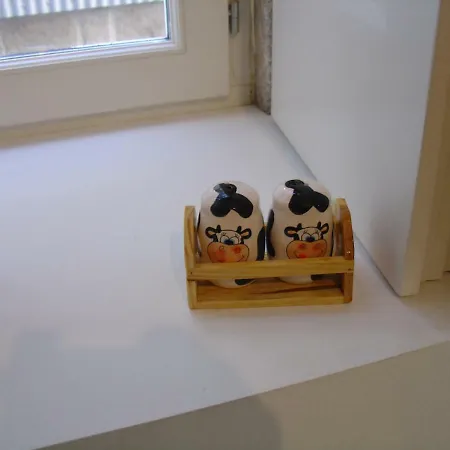 Апартаменты Downtown Historical