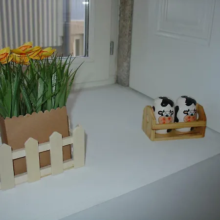 Апартаменты Downtown Historical